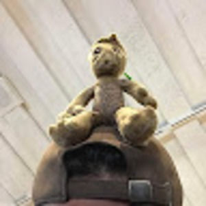 Meet your Posher, Marvin